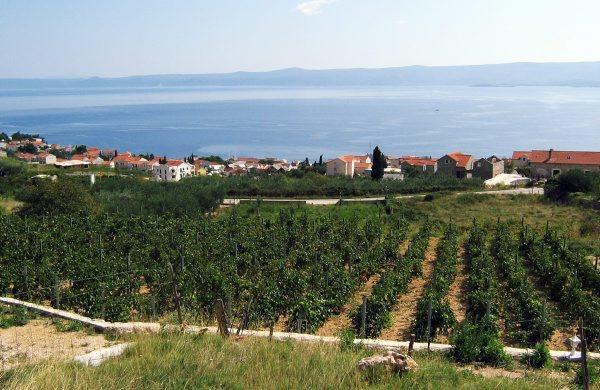 Holiday Home Vineyard House Bol Kültér fotó