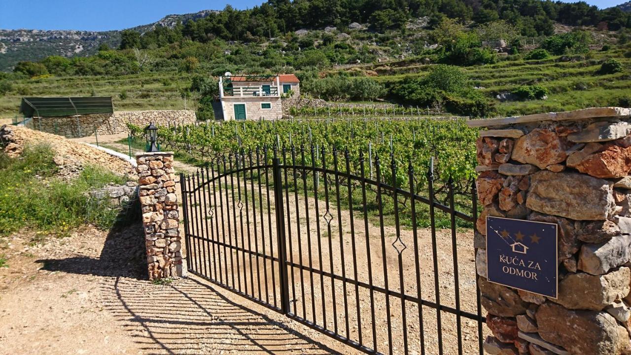 Holiday Home Vineyard House Bol Kültér fotó